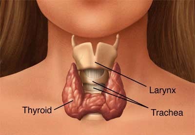 Thyroid Cancer Treatment in Canton, GA